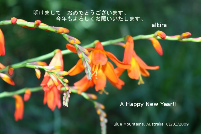newyearmessage.jpg