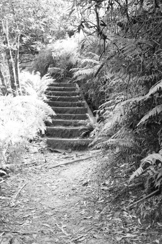 stair.jpg